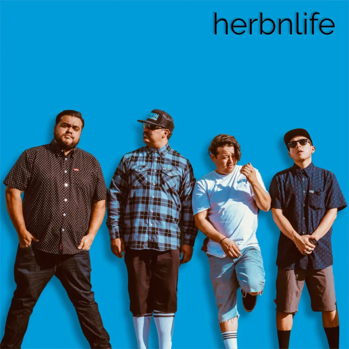 The Blue Album